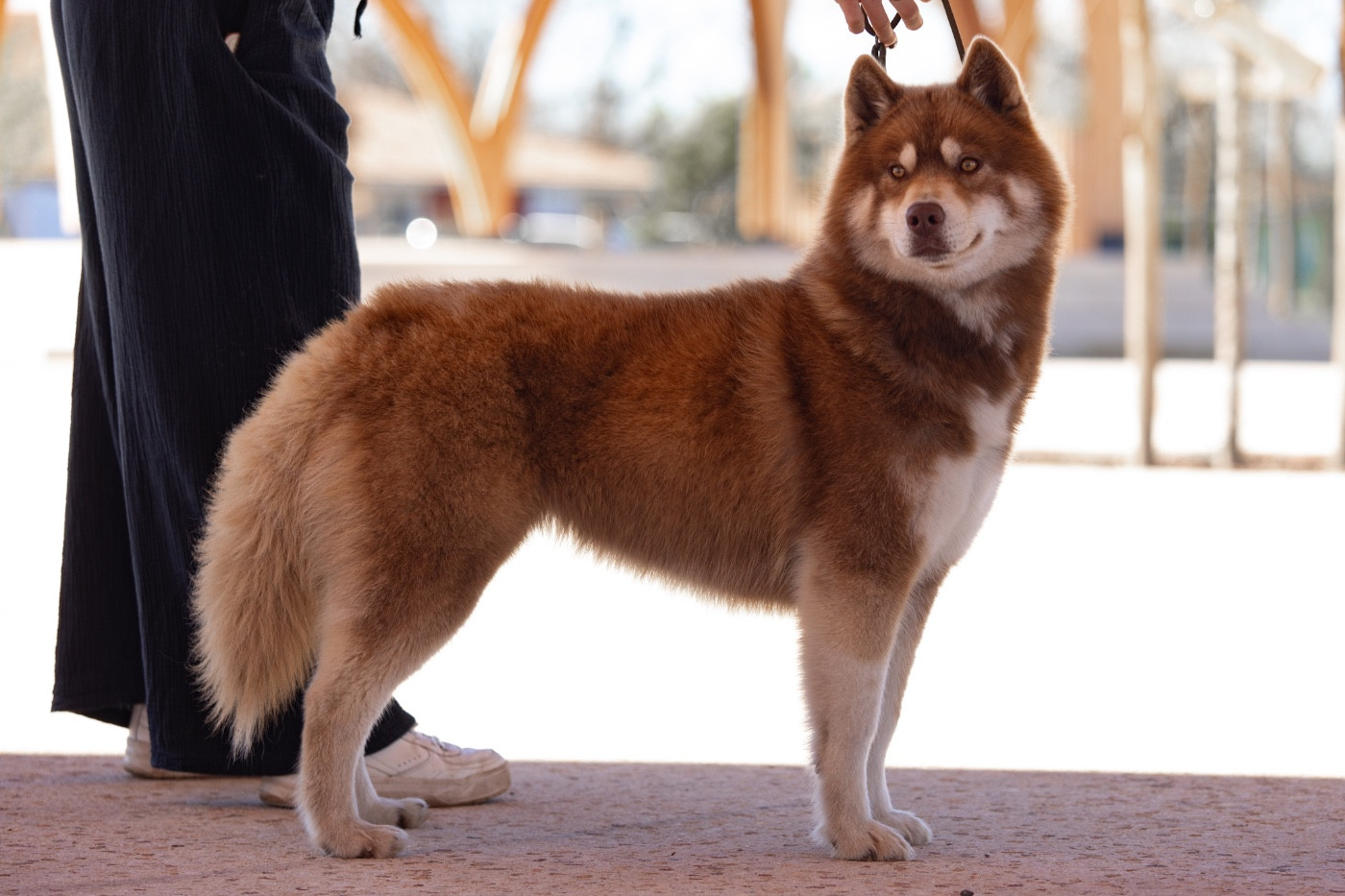 V'rheana Of Umok's Dreams